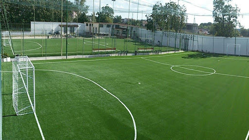 Campo 1