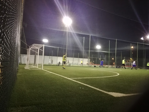 Campo 2